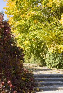 colorful-autumn-foliage-early-autumn-warm-sunny-weather-park-with-old-stone-concrete-staircase